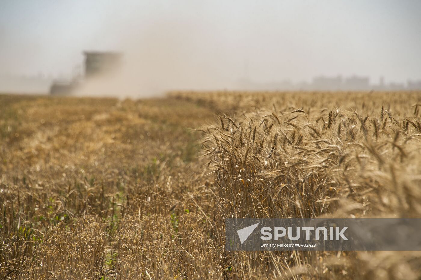 Russia Kherson Region Wheat Harvesting