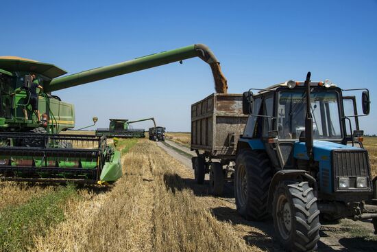 Russia Kherson Region Wheat Harvesting