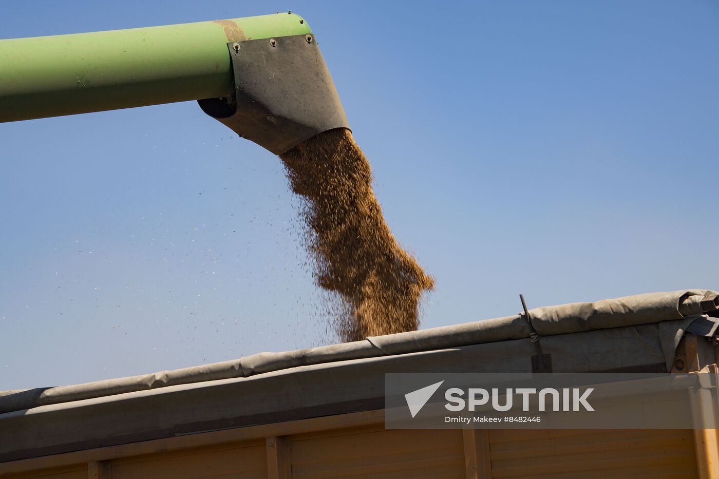 Russia Kherson Region Wheat Harvesting