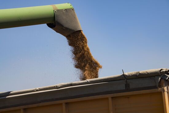 Russia Kherson Region Wheat Harvesting