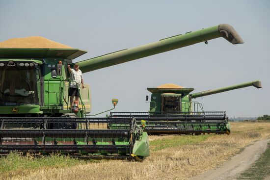 Russia Kherson Region Wheat Harvesting