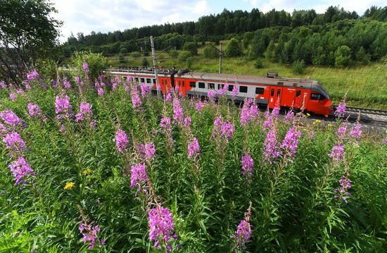 Russia Railway Transport