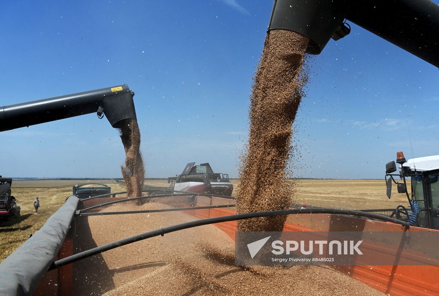 Russia Agriculture Wheat Harvesting