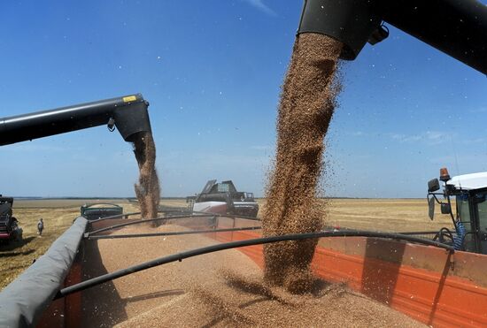 Russia Agriculture Wheat Harvesting