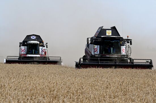 Russia Agriculture Wheat Harvesting