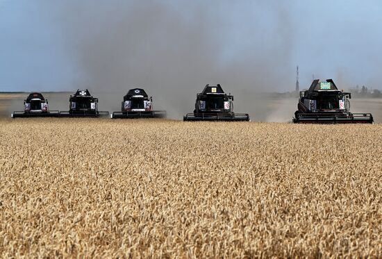 Russia Agriculture Wheat Harvesting