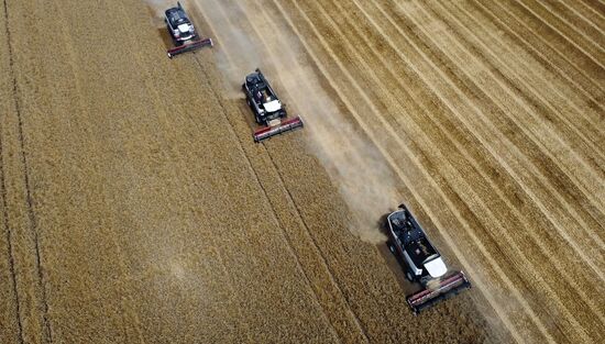 Russia Agriculture Wheat Harvesting