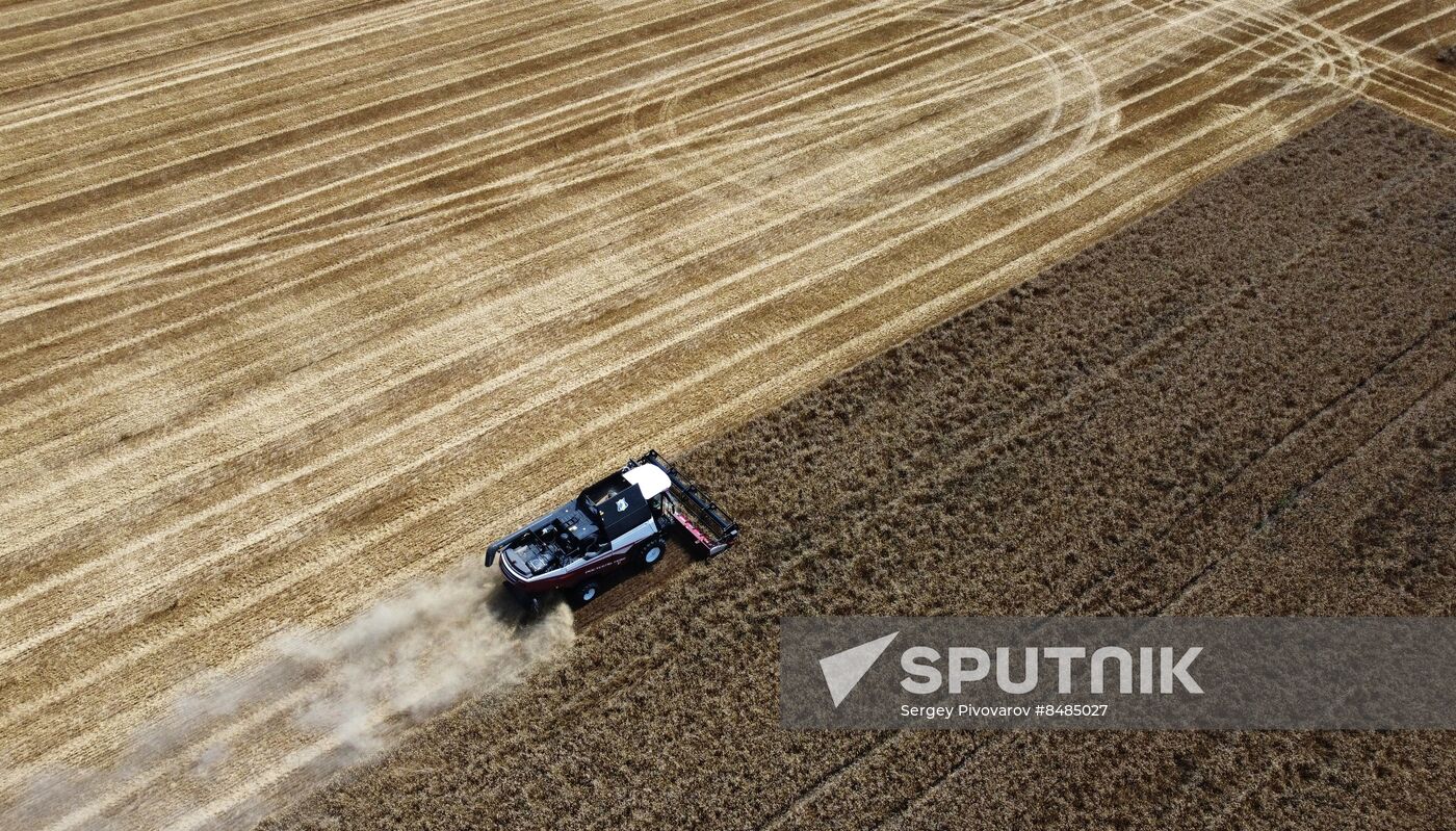 Russia Agriculture Wheat Harvesting