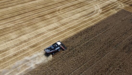 Russia Agriculture Wheat Harvesting