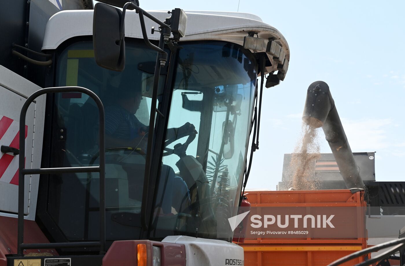 Russia Agriculture Wheat Harvesting