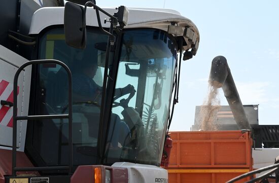 Russia Agriculture Wheat Harvesting