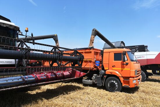 Russia Agriculture Wheat Harvesting