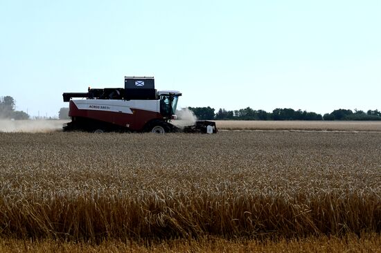 Russia Agriculture Wheat Harvesting