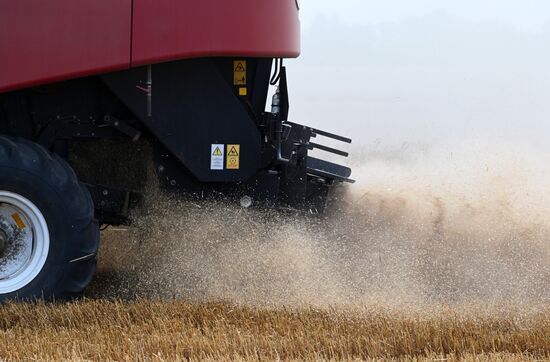 Russia Agriculture Wheat Harvesting