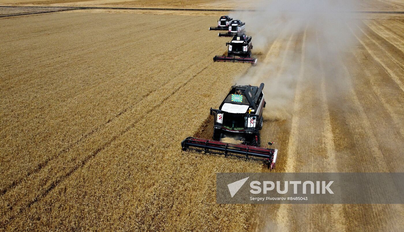 Russia Agriculture Wheat Harvesting