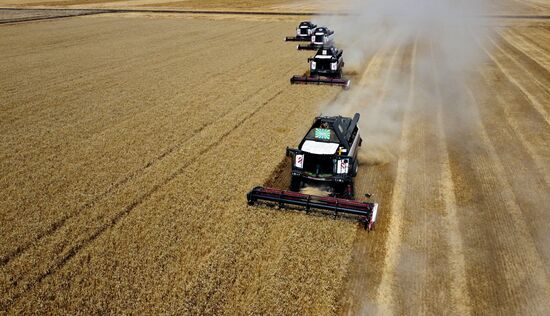 Russia Agriculture Wheat Harvesting