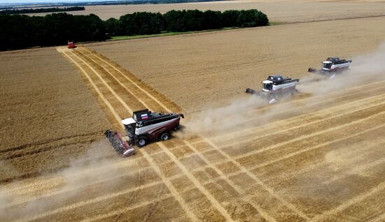 Russia Agriculture Wheat Harvesting