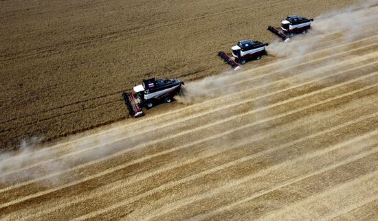 Russia Agriculture Wheat Harvesting