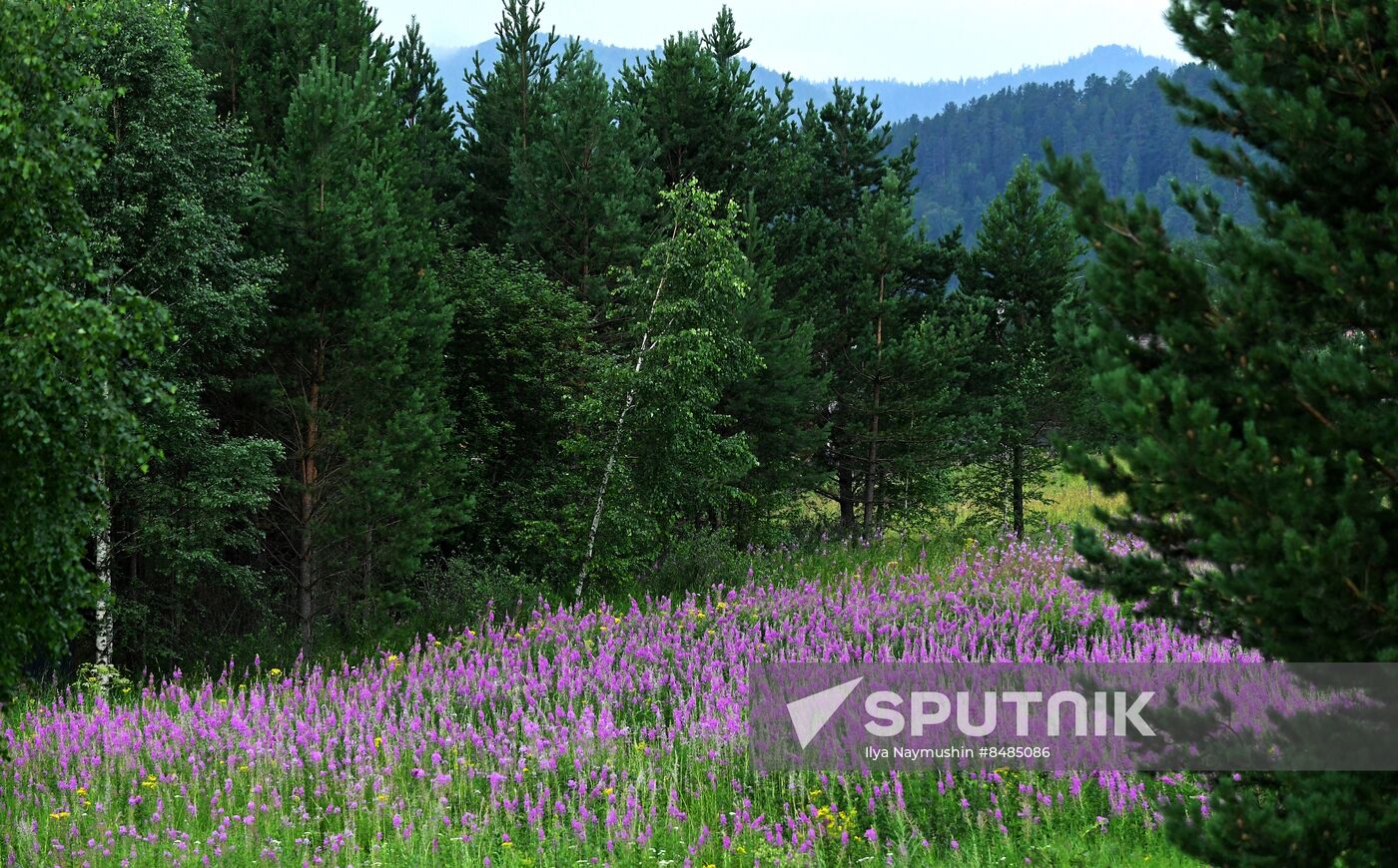 Russia Environment