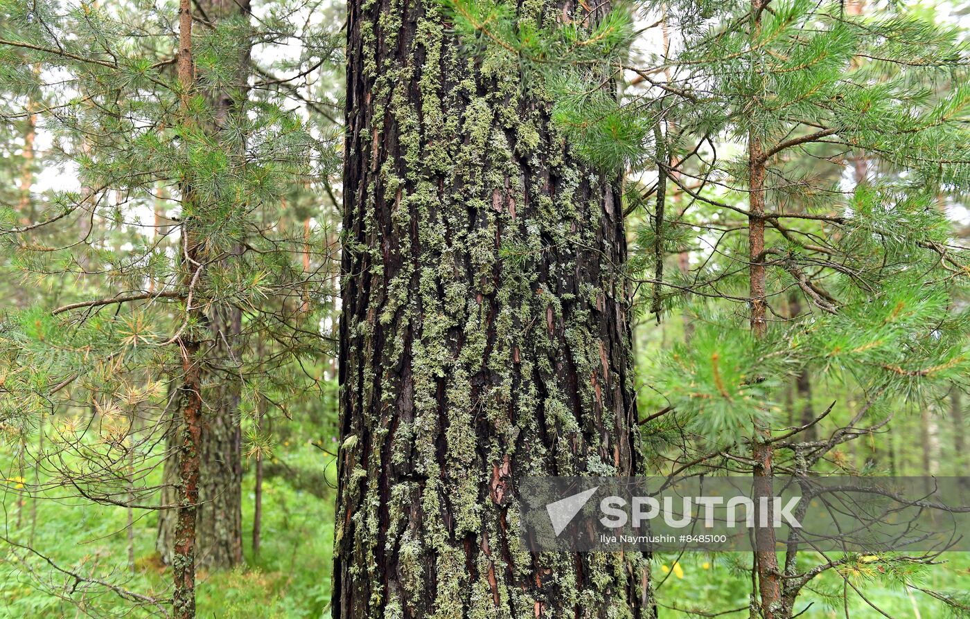 Russia Environment