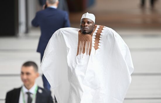 2nd Russia-Africa Summit. Guests ahead of the plenary session