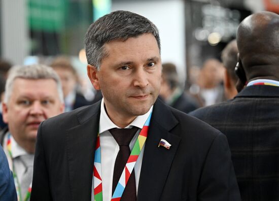 2nd Russia-Africa Summit. Guests ahead of the plenary session