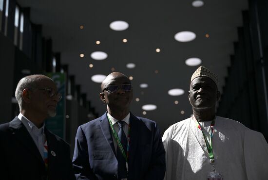 2nd Russia-Africa Summit. Guests ahead of the plenary session