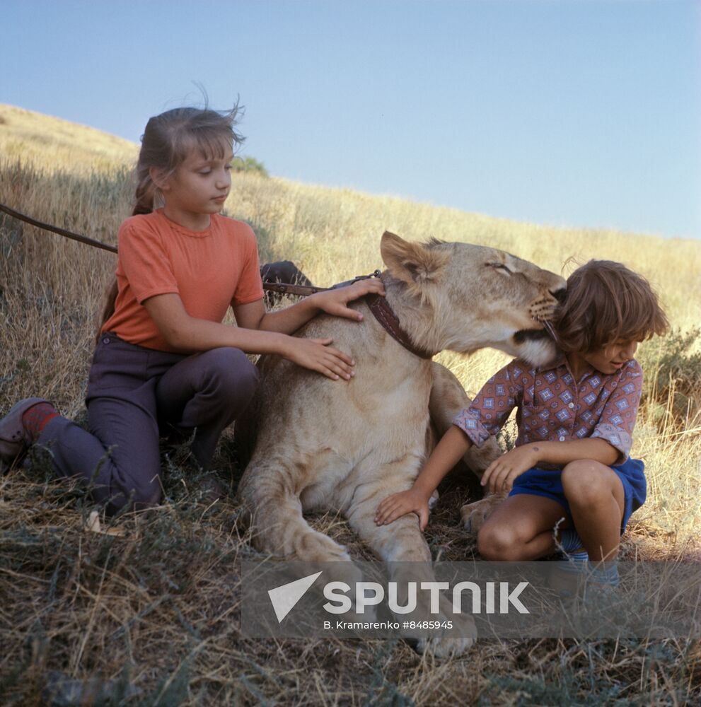 Filming I Have A Lion