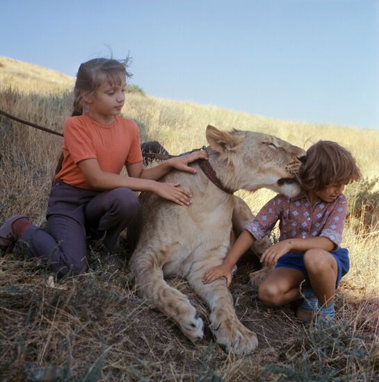 Filming I Have A Lion