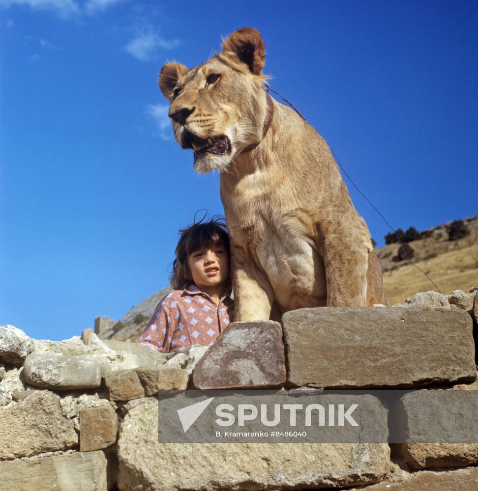 Filming I Have A Lion