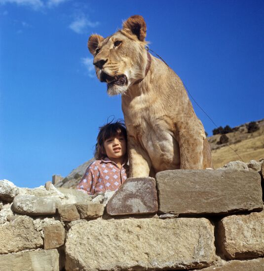 Filming I Have A Lion