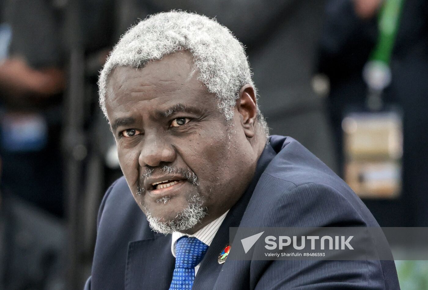 Russia Putin Heads of African Regional Organisations