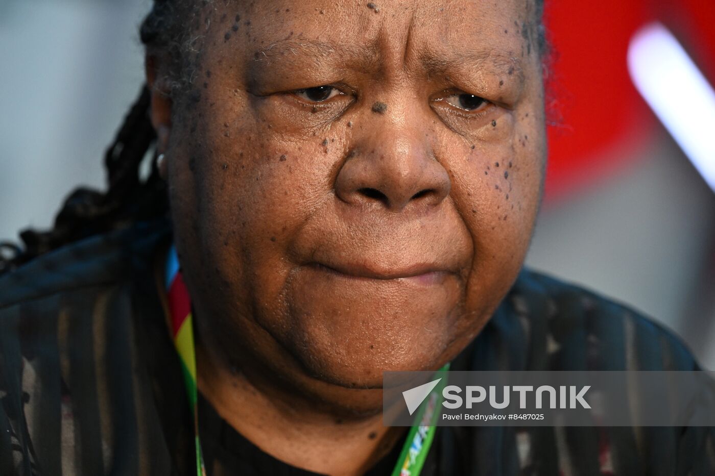 2nd Russia-Africa Summit. Plenary session