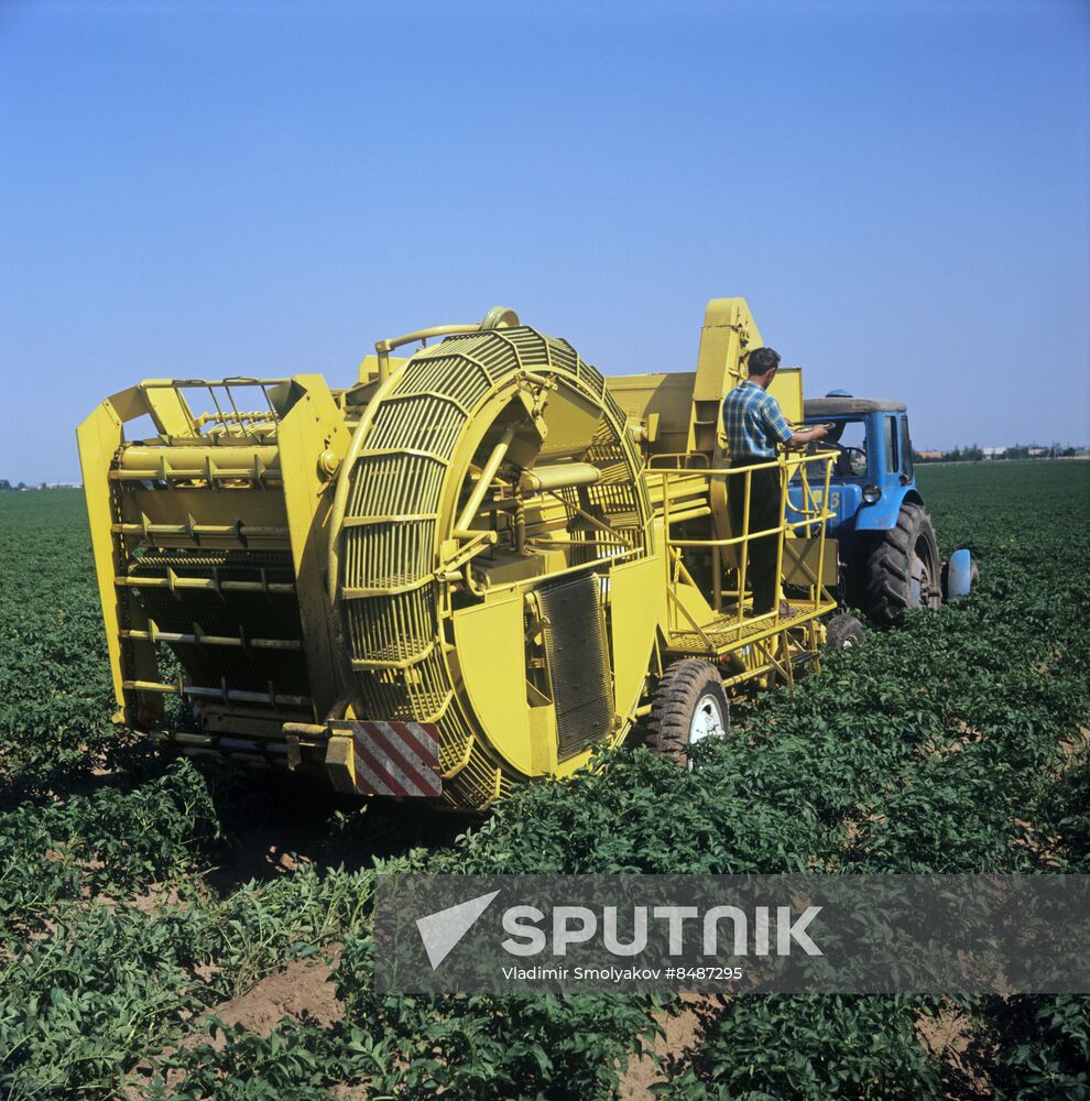 Zarya (Dawn) Collective Farm in Donetsk Region