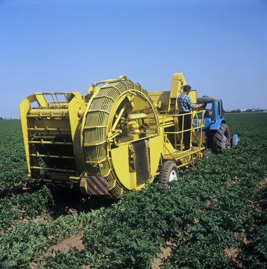 Zarya (Dawn) Collective Farm in Donetsk Region