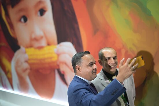 2nd Russia-Africa Summit. Forum events