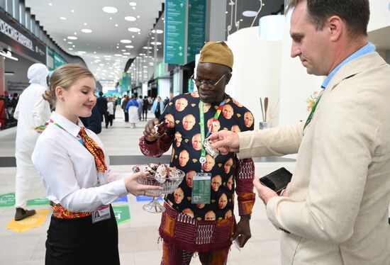 2nd Russia-Africa Summit. Forum events