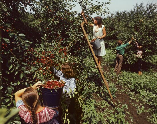 Varnitsa agricultural association