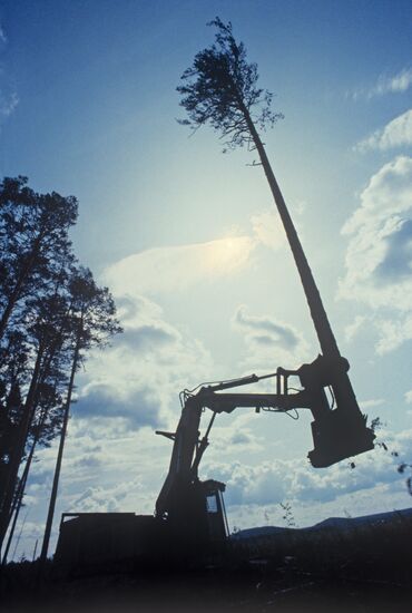 Ust-Ilimsk pulp mill