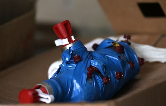 Russia Ukraine Military Operation Troops