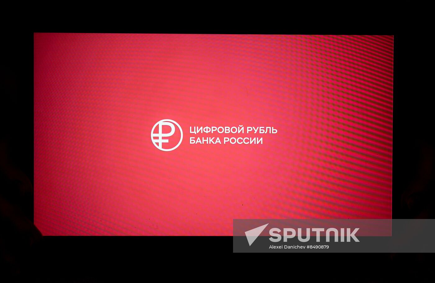 Russia Digital Ruble Logo