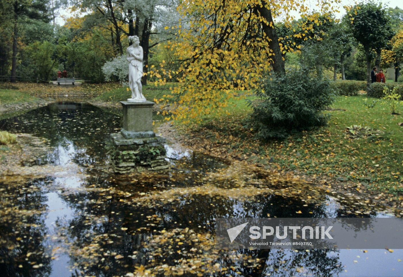 Pavlovsk Museum and Reserve