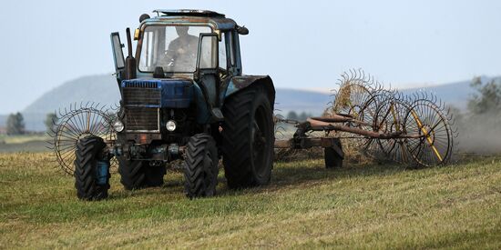 Russia Agriculture Livestock Fodder Harvesting