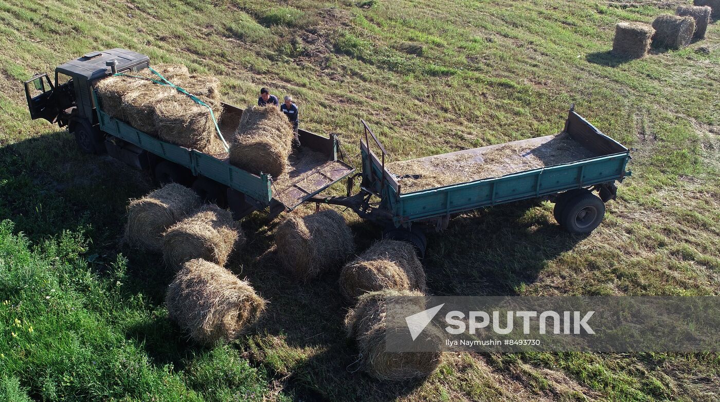 Russia Agriculture Livestock Fodder Harvesting