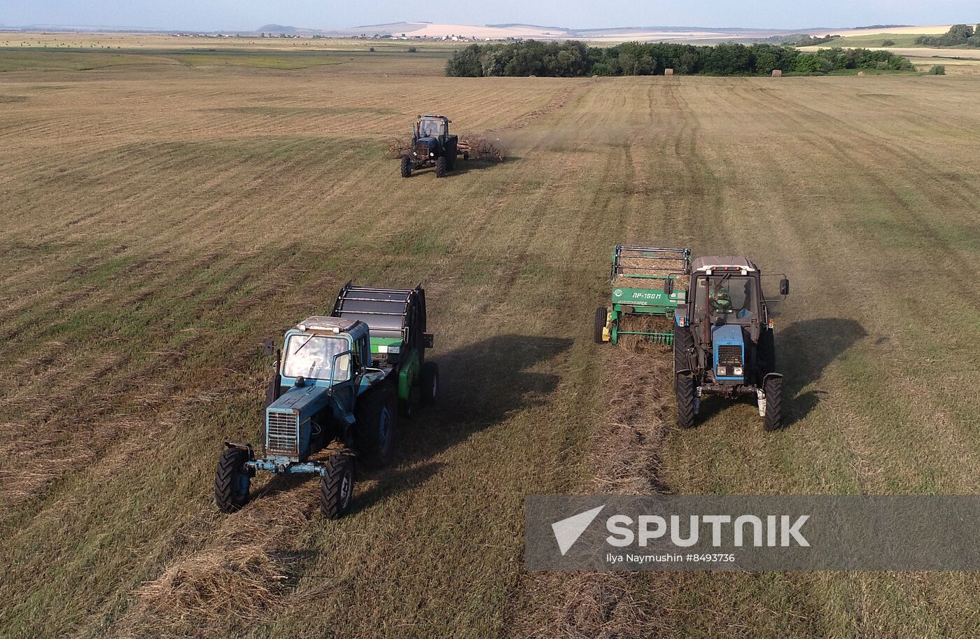 Russia Agriculture Livestock Fodder Harvesting