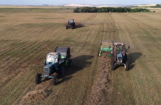 Russia Agriculture Livestock Fodder Harvesting