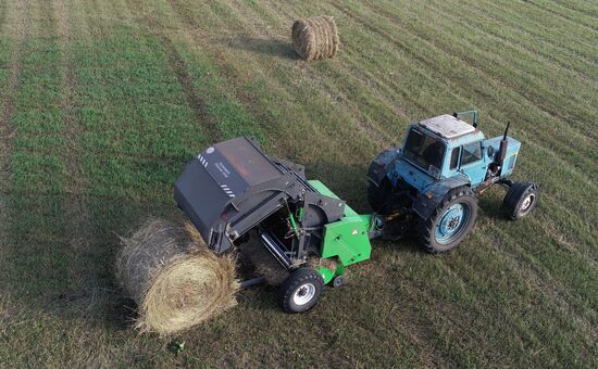 Russia Agriculture Livestock Fodder Harvesting