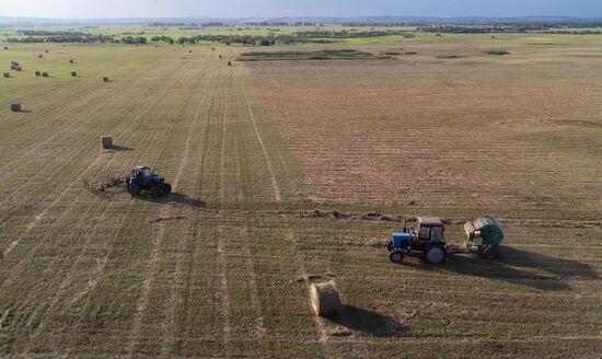 Russia Agriculture Livestock Fodder Harvesting