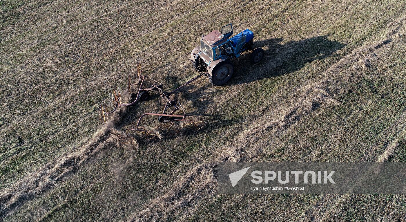 Russia Agriculture Livestock Fodder Harvesting
