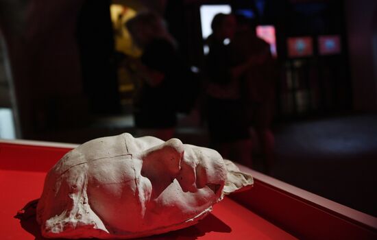 Mayakovsky Era Moscow Exhibition